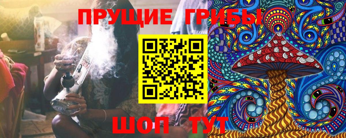 Псилоцибиновые грибы MAGIC MUSHROOMS Новоалександровск