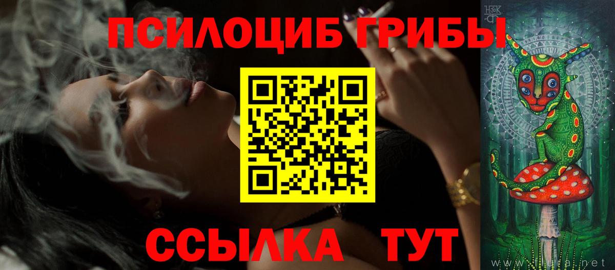 Галлюциногенные грибы мицелий  Вход с VPN  Новоалександровск 