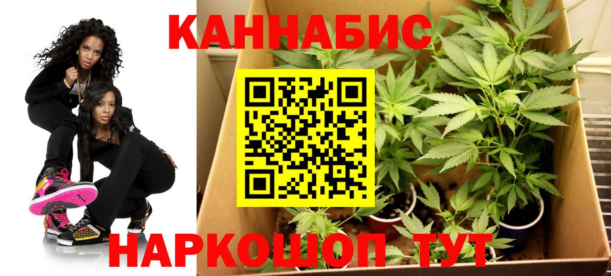 Бошки марихуана план Новоалександровск
